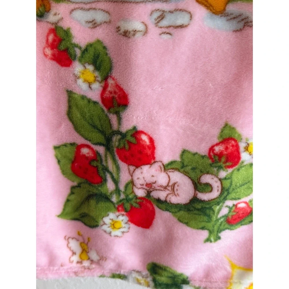 Jay Franco & Sons strawberry shortcake